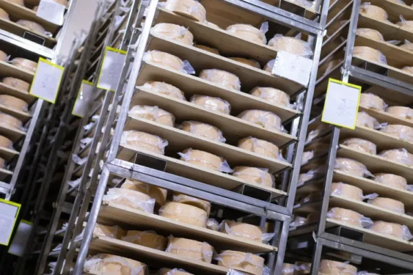 Ultrafiltración para producción queso