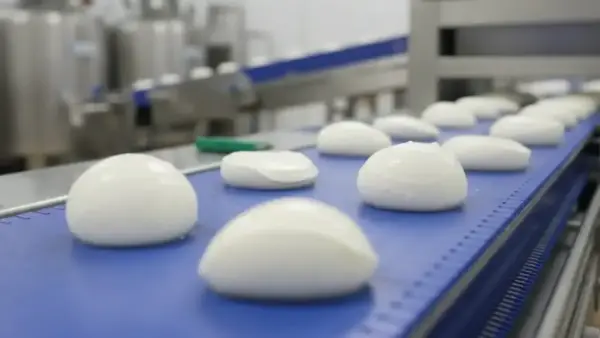 Producción de Mozzarella y Pasta Hilada