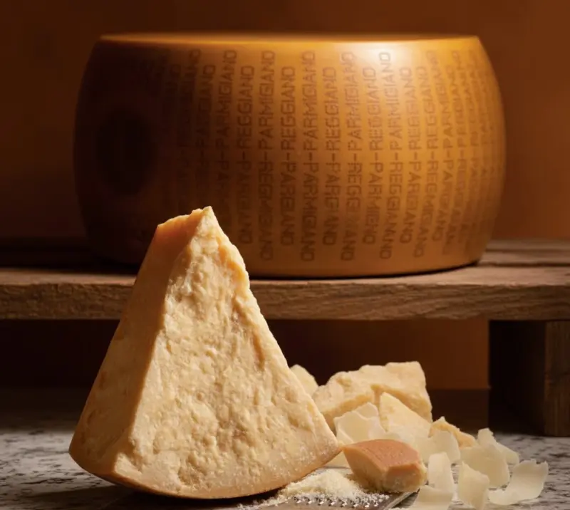 Línea completa para producción de queso duro y semiduro