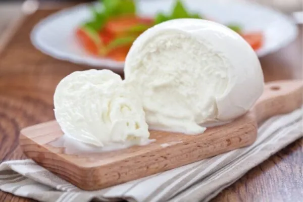 Máquinas para hacer queso mozzarella: Producción de mozzarella de calidad gourmet
