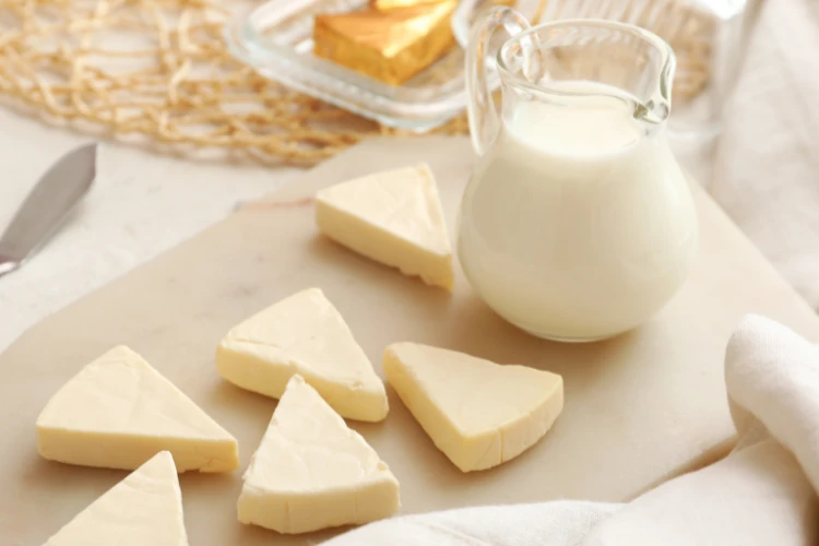 maquinaria para queso