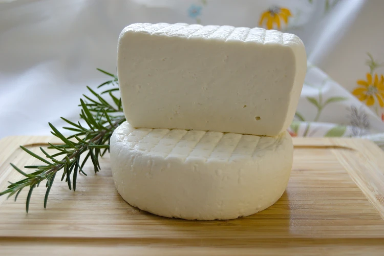 produccion de queso procesado