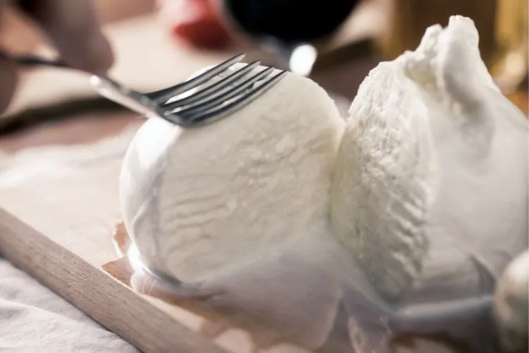 máquinas para hacer queso mozzarella